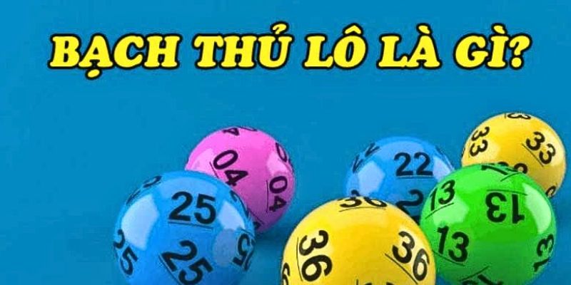 Bạch thủ lô được hiểu như thế nào